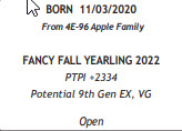 71683