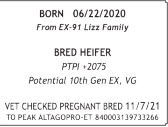 71726