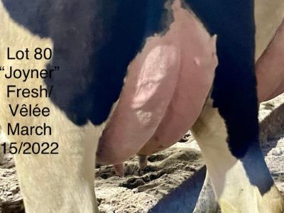 68410