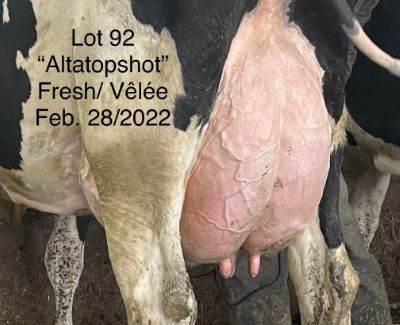 68436