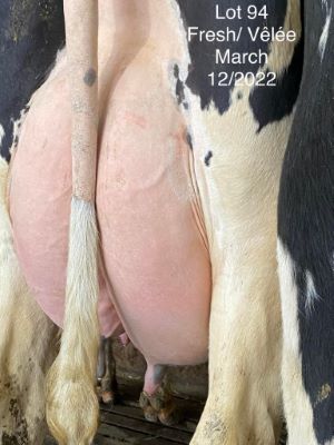 68440
