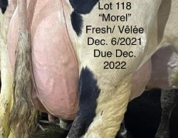68270