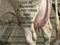 68348