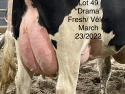 68362