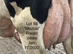68372