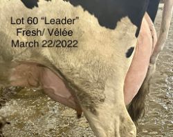 68380