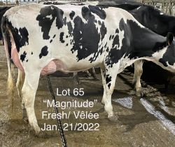 68387