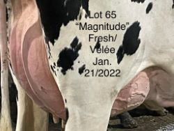 68388