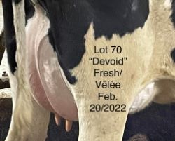 68395