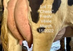 68399