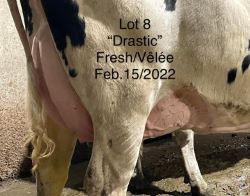68409