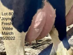 68410