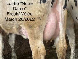68419