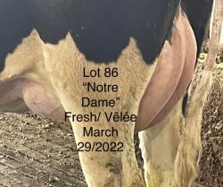 68421