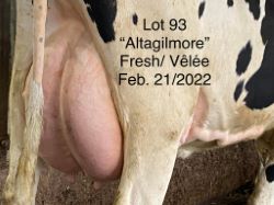 68438