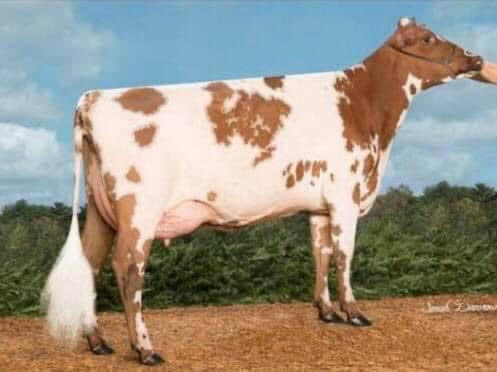 71372
