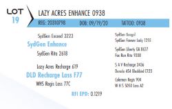 75049