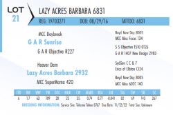 75053