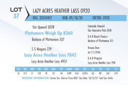 75077