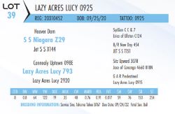 75080