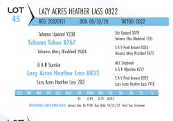 75088
