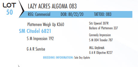 75096