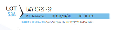 75101