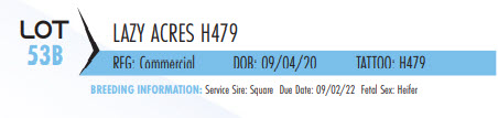 75102
