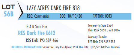 75109