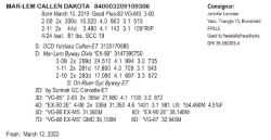 78313