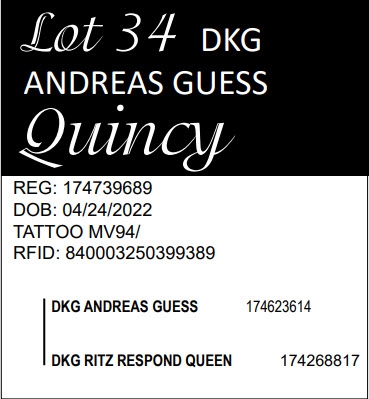 96270