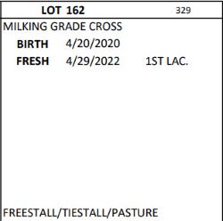 81686
