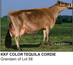 83568