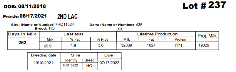 86077