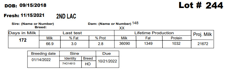 86082