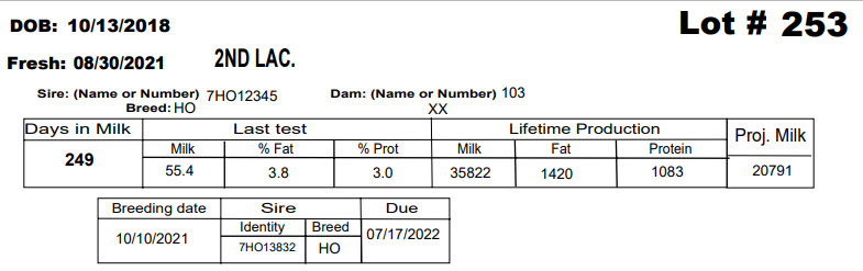 86089