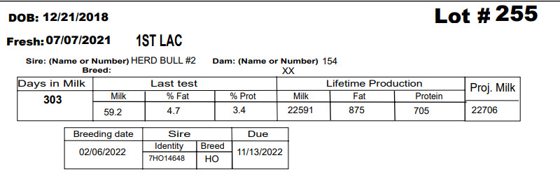 86091