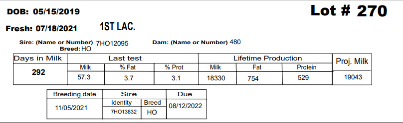 86101