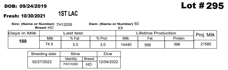86117