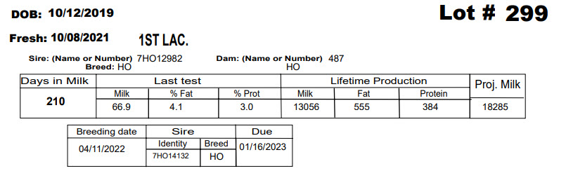 86120