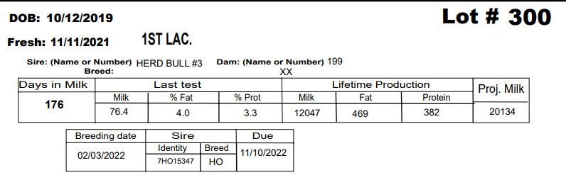 86121