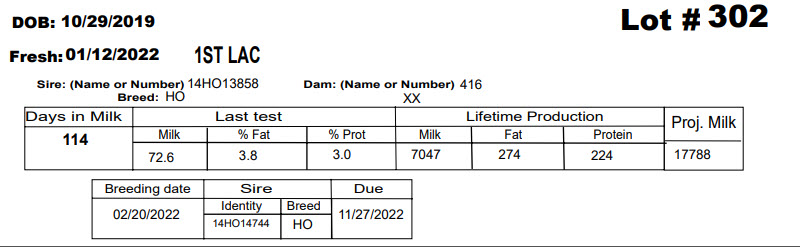 86123