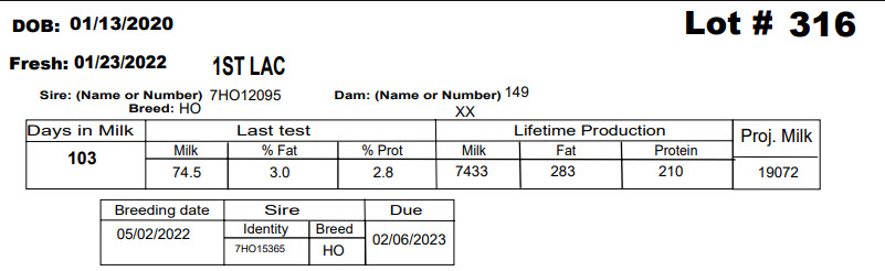 86134