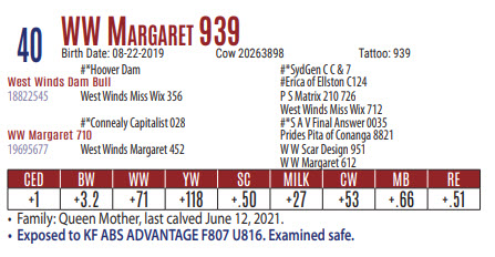 86321