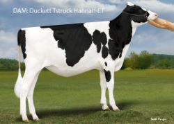 92232