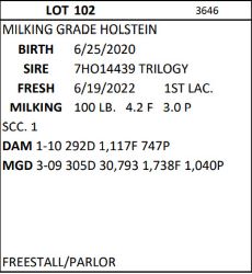 91046