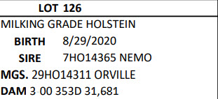 91084