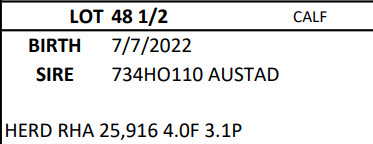 91123
