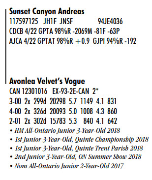 93614