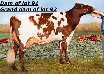 93713